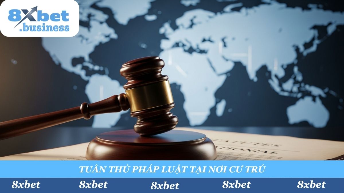 Dịch vụ của 8xbet hoạt động theo giấy phép tại Anjouan. Bạn có trách nhiệm duy nhất là xác định và tuân thủ luật pháp hiện hành tại quốc gia hoặc khu vực bạn cư trú.