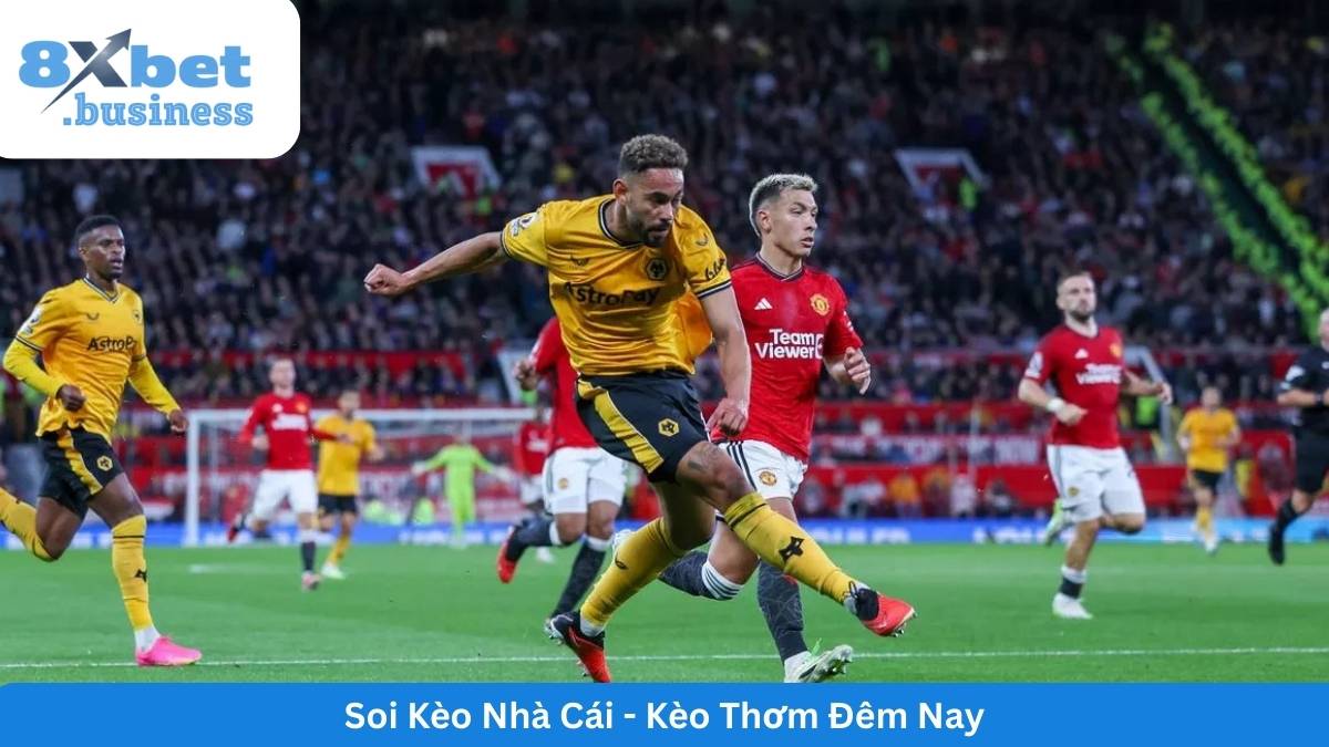 ty-le-keo-bong-da-mu-vs-wolves-8xbet